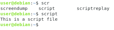 Adding the script to PATH script-command