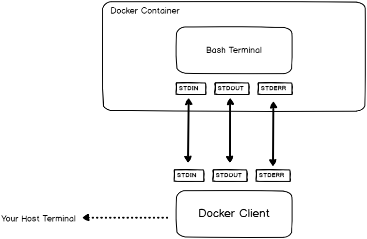 Docker Exec Interactive Option (IT) it-option