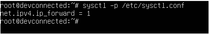 Enabling IP forwarding on Linux sysctl