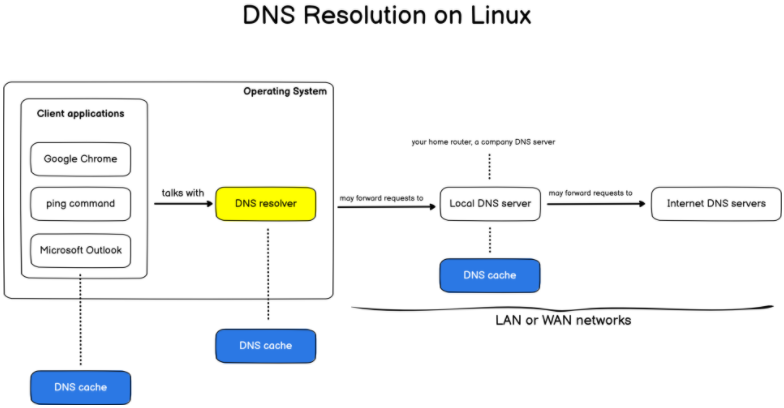 How To Flush DNS Cache on Linux dns-resolution-linux