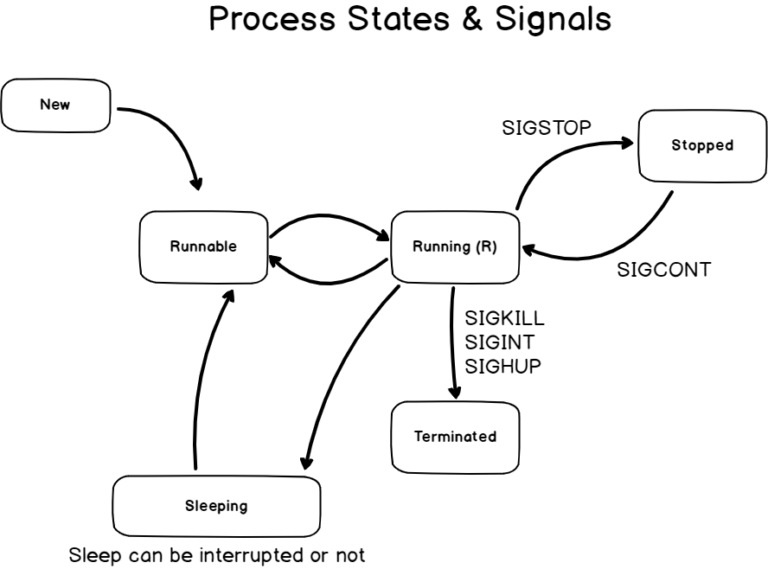 Understanding Processes on Linux | Types of Process in Linux | Creating ...