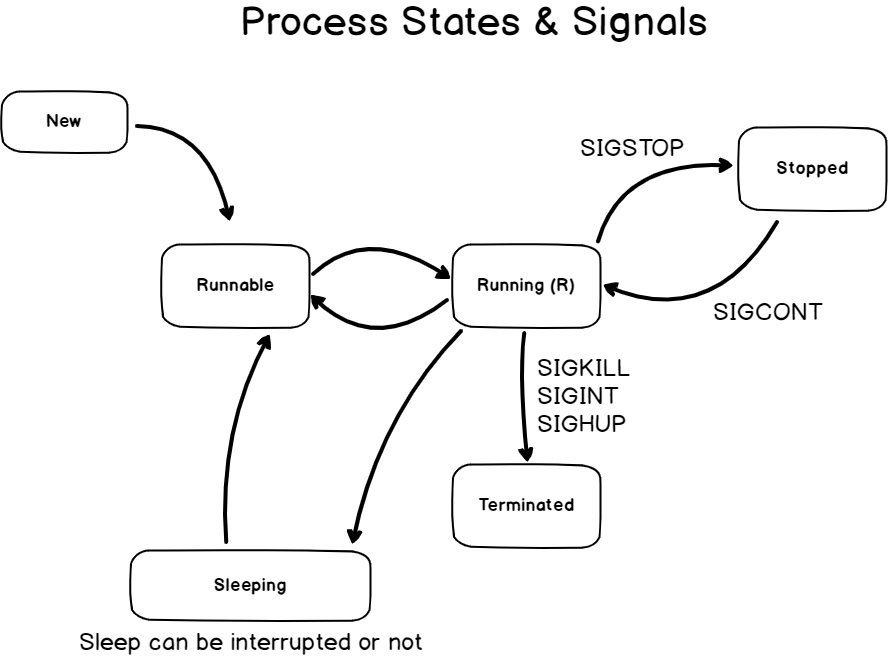 Linux process States. Состояния процессов в Linux. Линукс системы в схеме. Состояние процесса линукс.