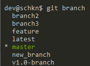 Switch Branch using git checkout git-branch