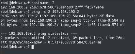 Testing network connectivity ping-network