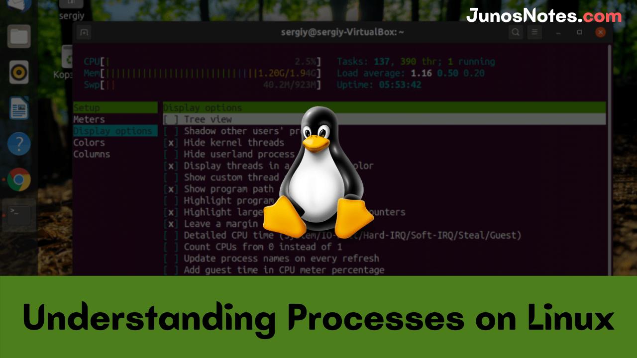 Understanding Processes on Linux