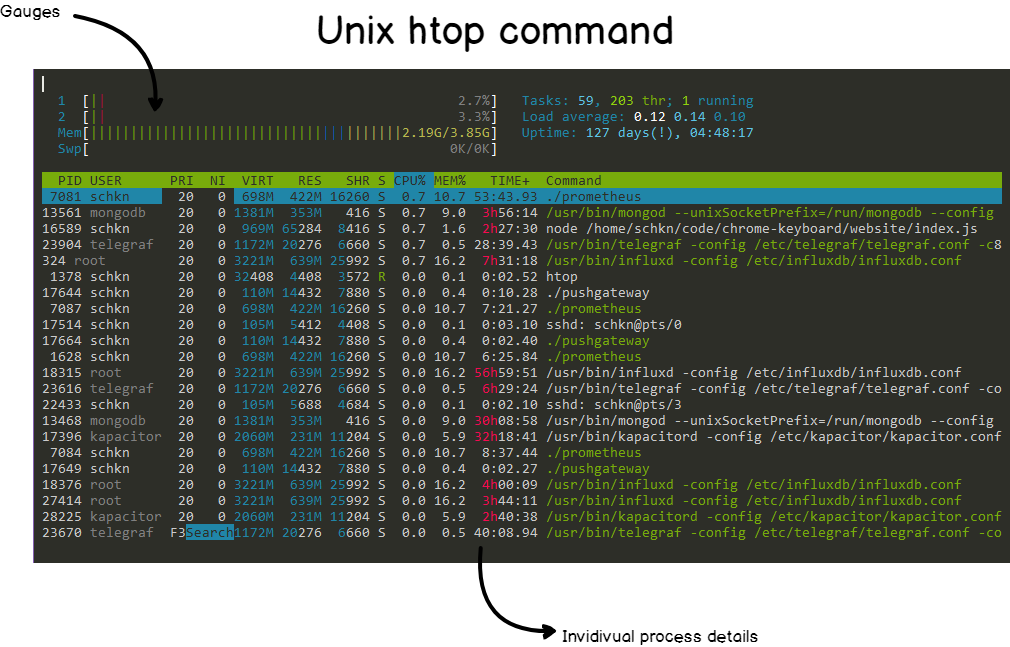 Unix Process Monitoring Basics final-htop-command
