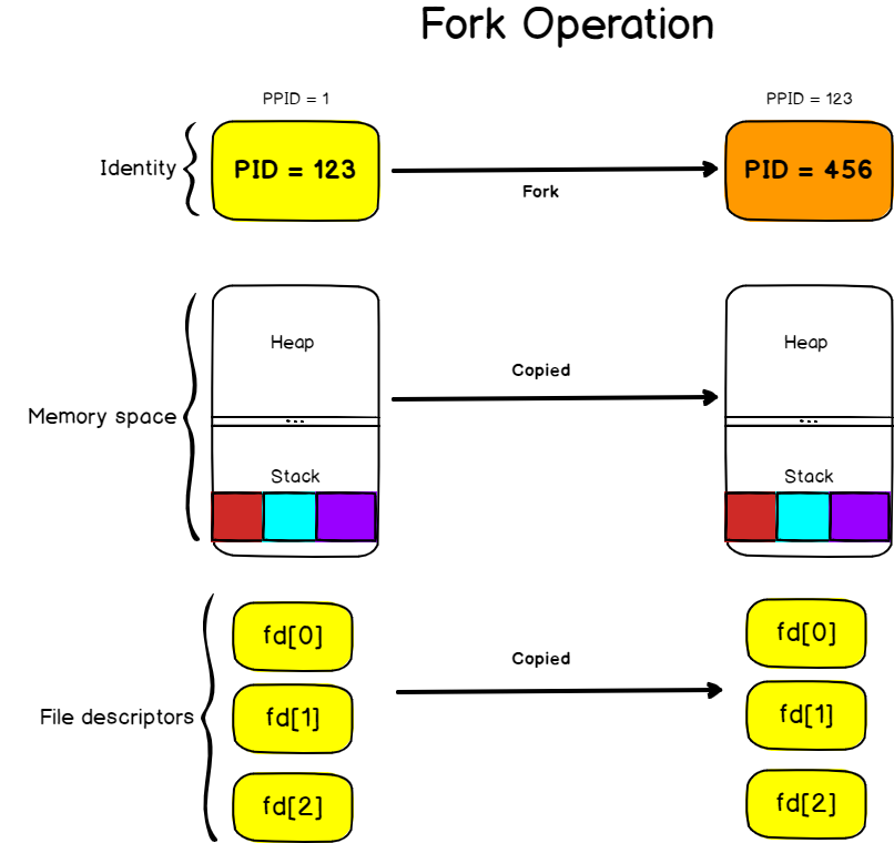 Process Creation using Fork and Exec fork